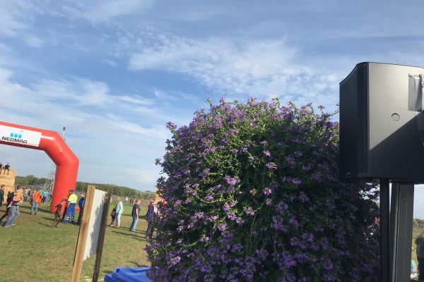 Ruigsterun2018